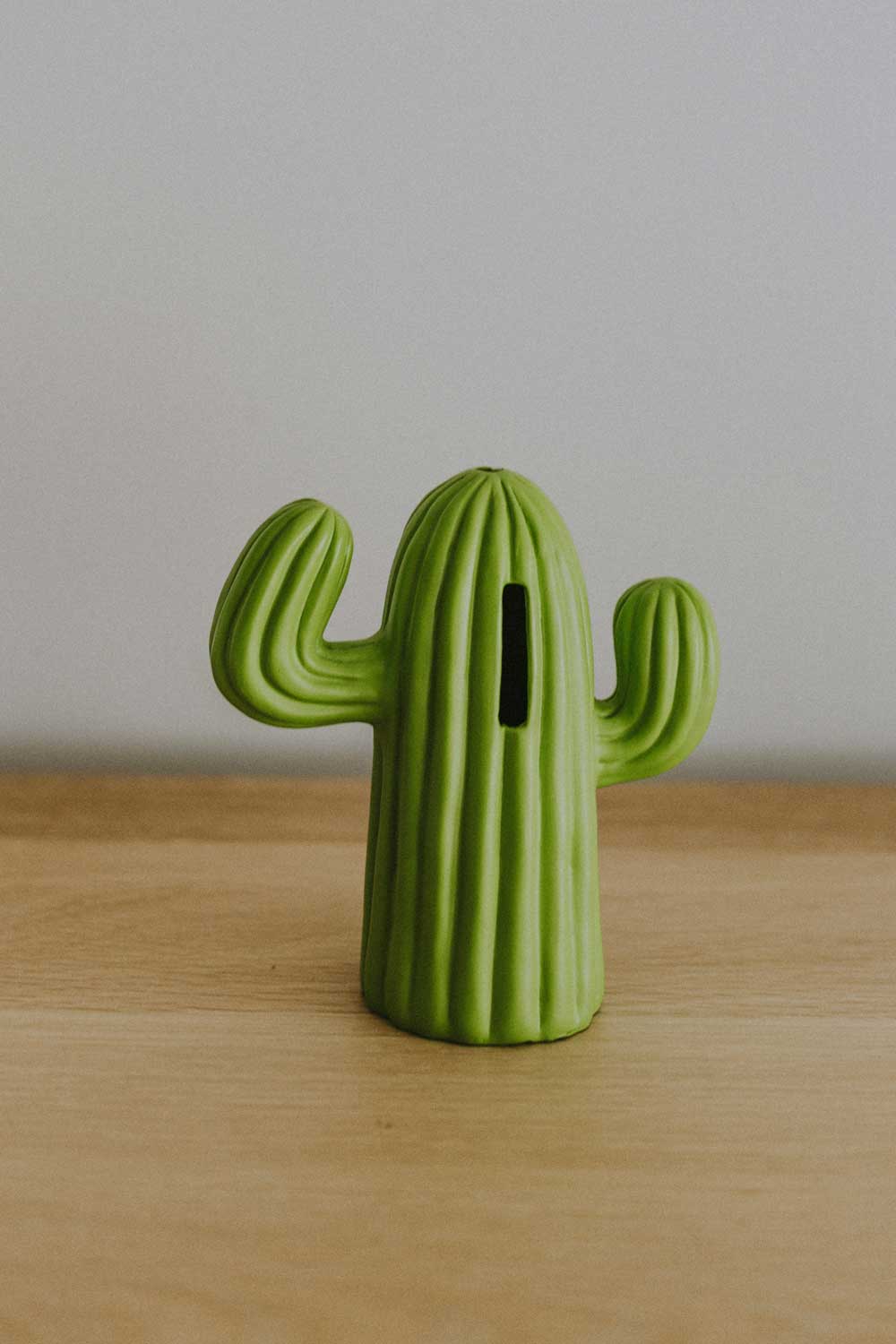 cactus money box